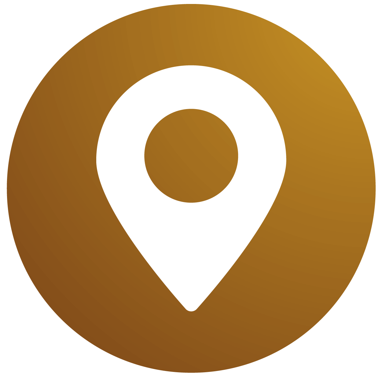 About VIPsDubai